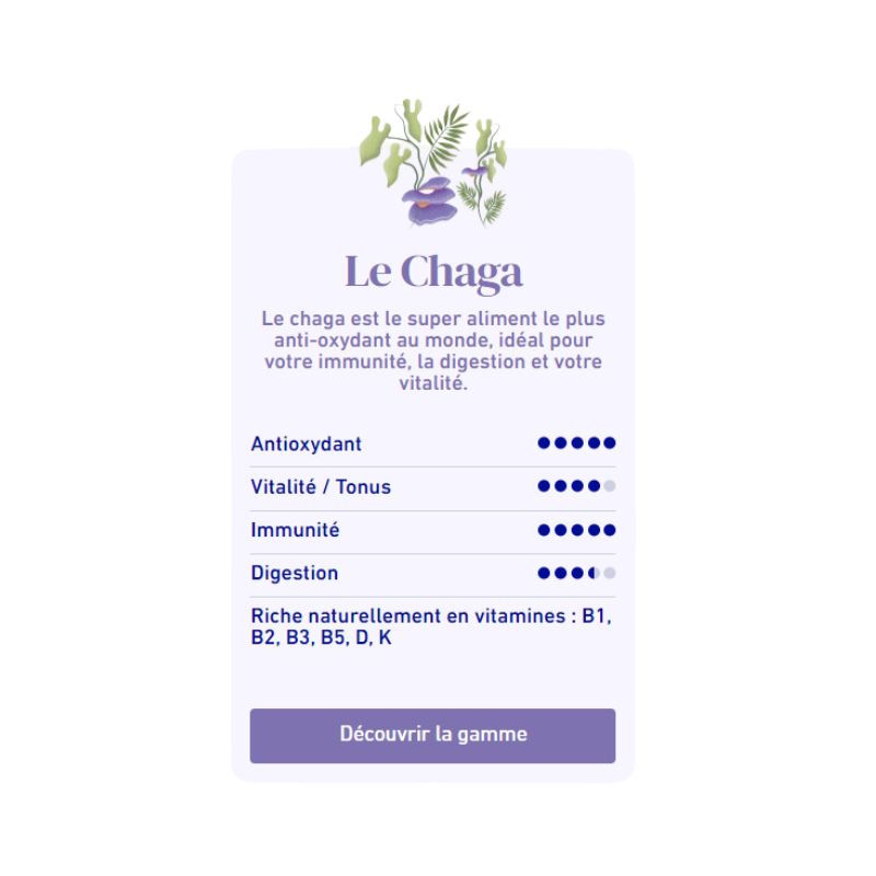 bienfaits champignon médicinal Chaga