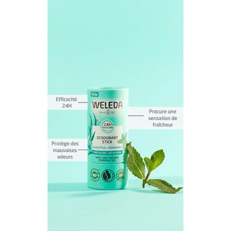 Déodorant Stick Solide 24H Eucalyptus Menthe Poivrée 50g