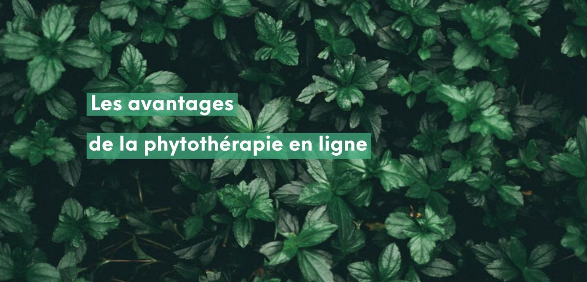 La phytothérapie en ligne : pourquoi choisir une pharmacie sur internet ?