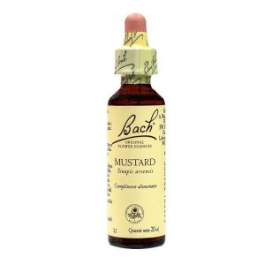 Fl-bach Mustard N°21 20ml