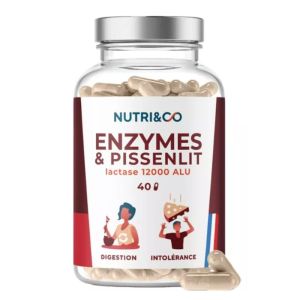 Enzymes & Pissenlit en 40 gélules