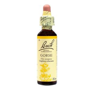 Fl-bach Gorse N°13 20ml