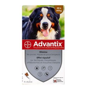 Advantix Tgr/chien Pipet 6ml 4